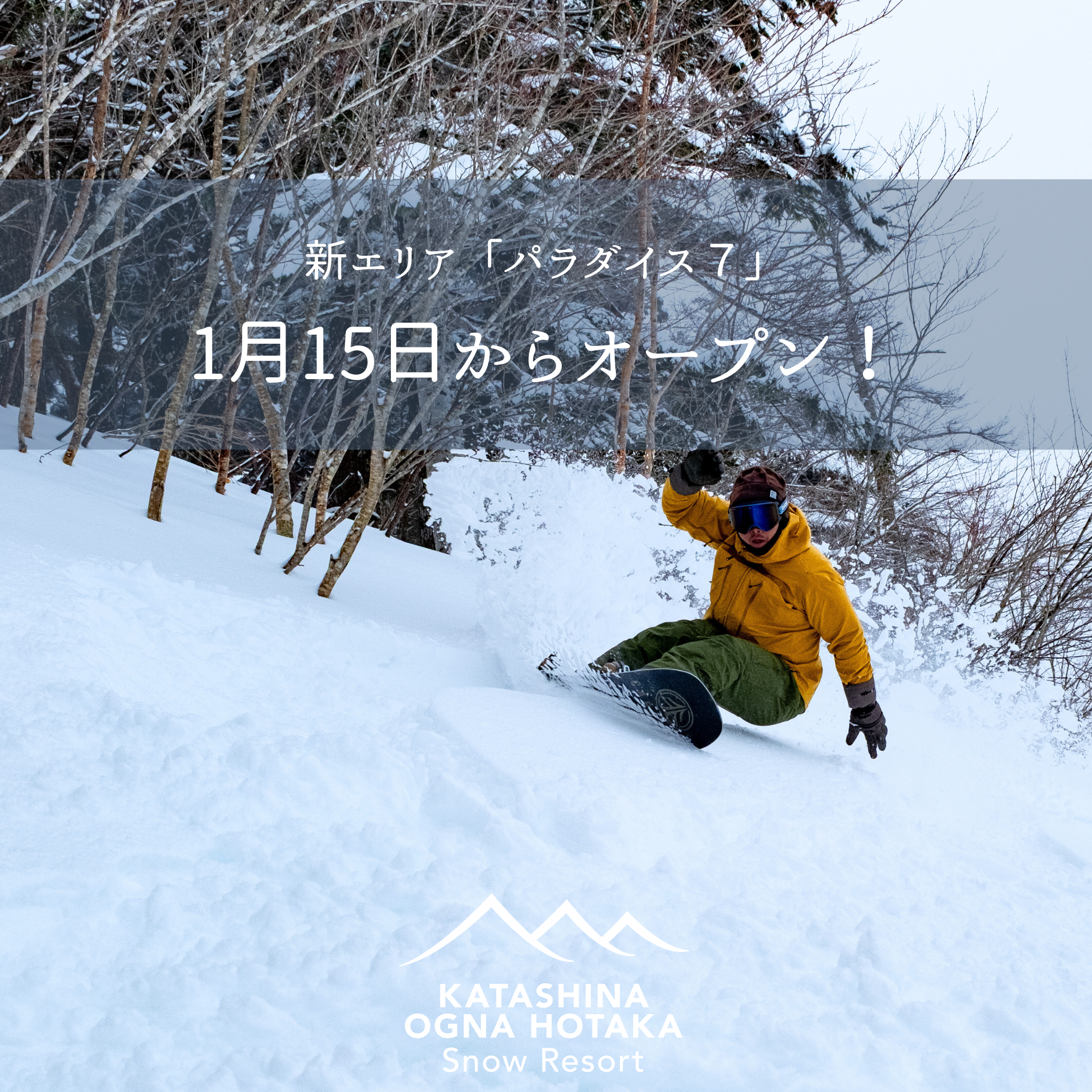 1月15日に新非圧雪エリアオープン！ | オグナほたかスキー場